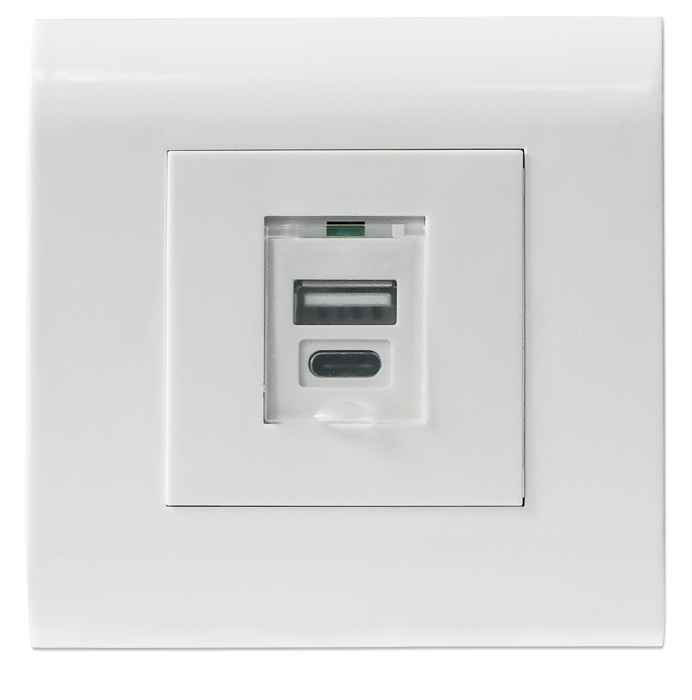 Placa frontal de pared con 2 puertos, USB Tipo A y USB Tipo C Image 1