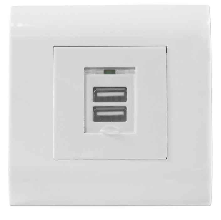Placa frontal de pared con 2 puertos USB-A Image 1