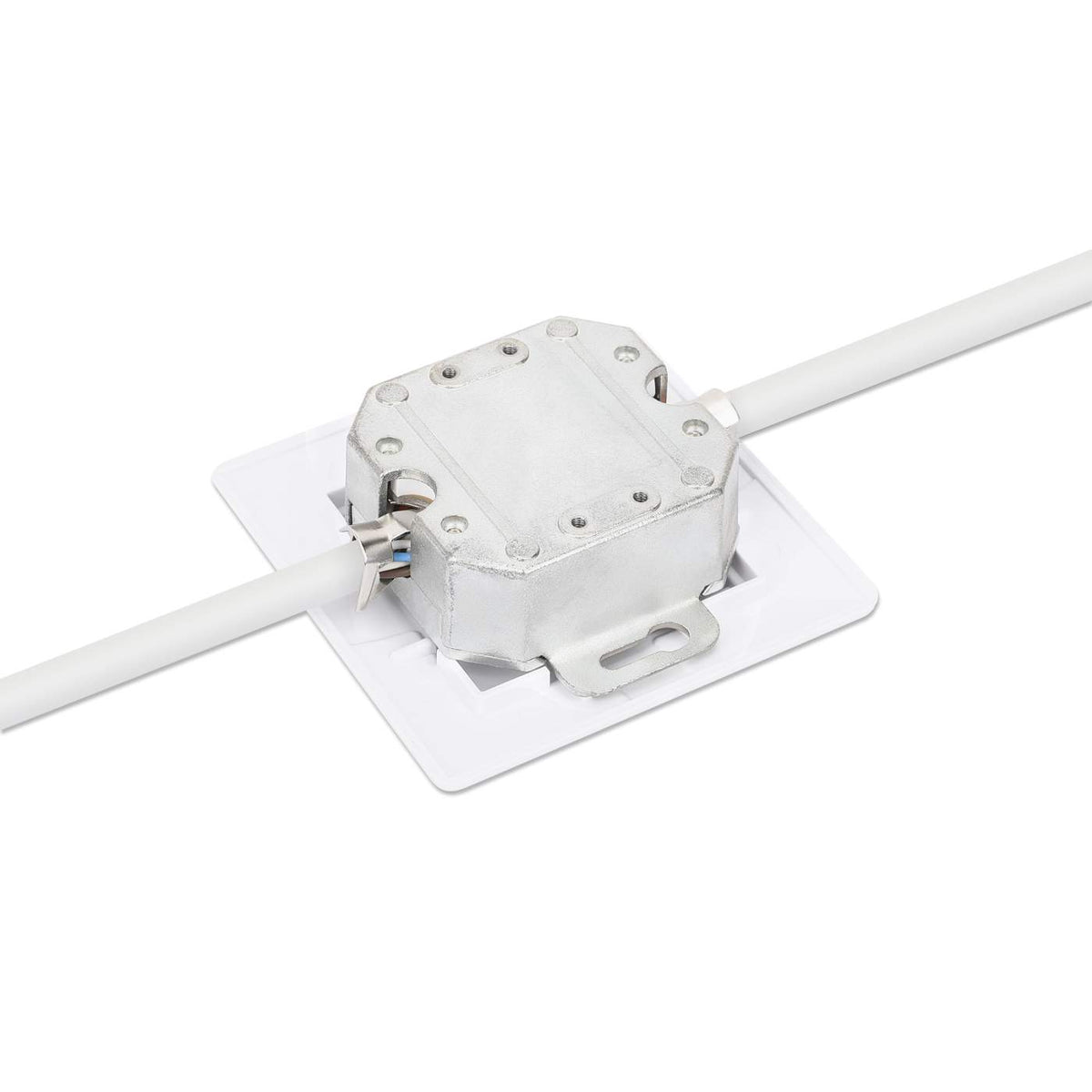 Placa de pared RJ45 blindada de 2 puertos Cat6 10G Image 6