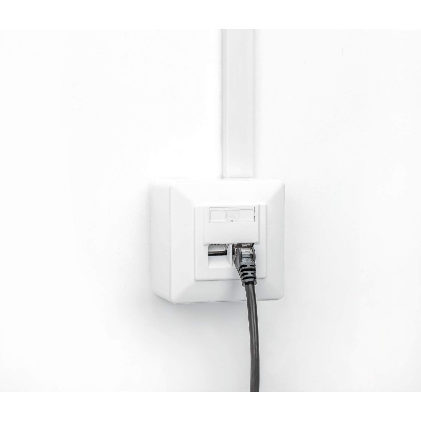 Placa de pared RJ45 blindada de 2 puertos Cat6 10G Image 9
