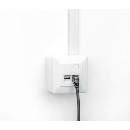 Placa de pared RJ45 blindada de 2 puertos Cat6 10G Image 9