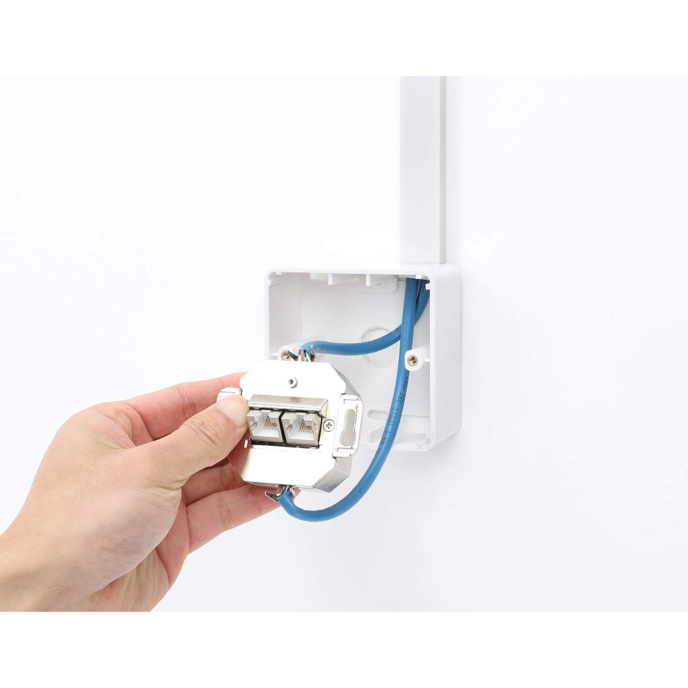 Placa de pared RJ45 blindada de 2 puertos Cat6 10G Image 8