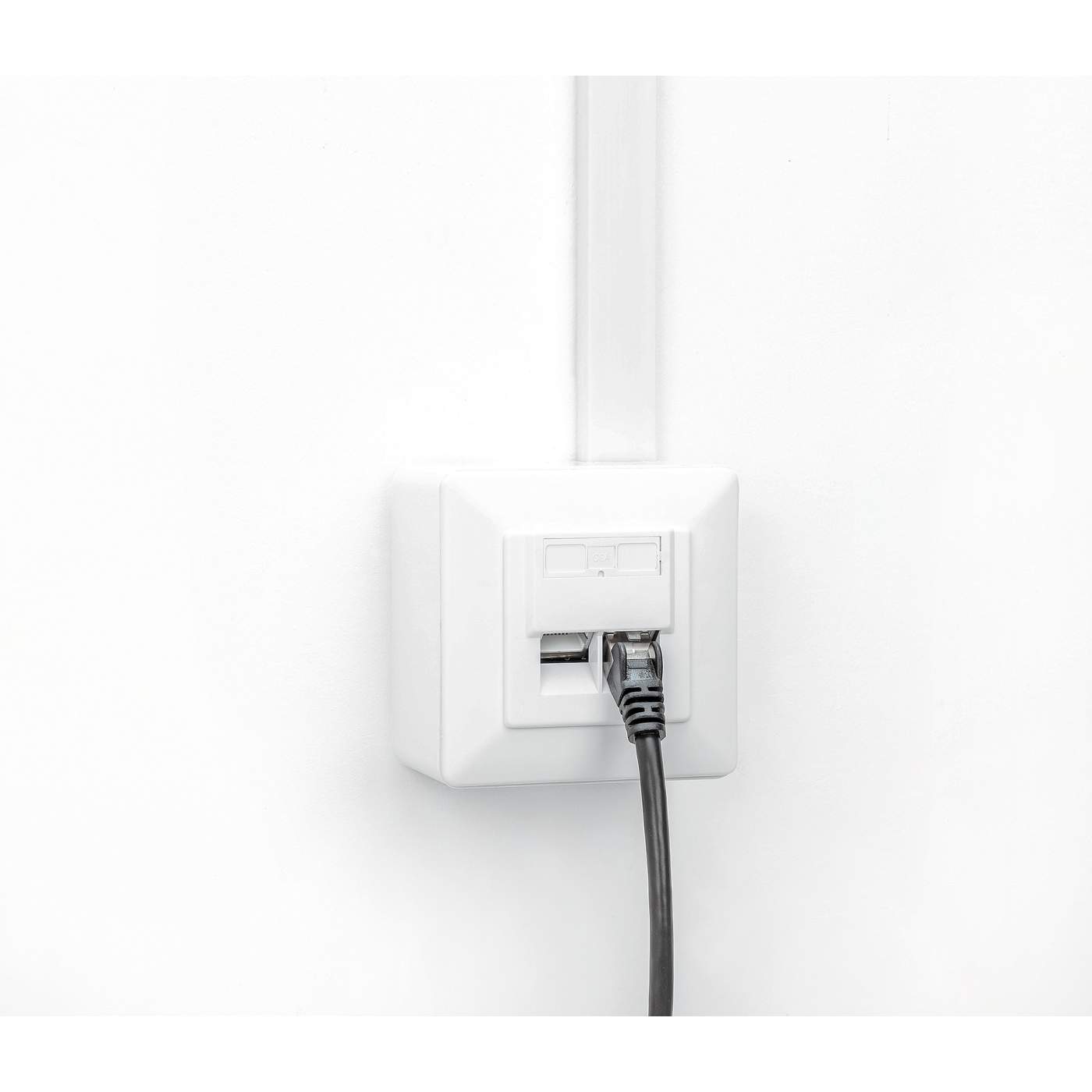 Placa de pared RJ45 blindada de 2 puertos Cat6 10G Image 9