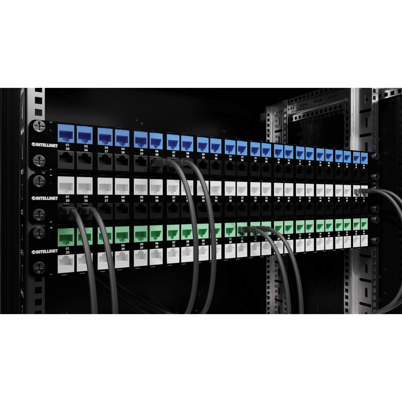 Paquete de 25 Jacks Keystone Slim Cat6, Azul Image 10