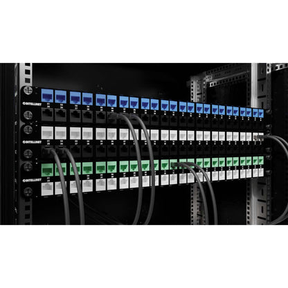 Paquete de 25 Jacks Keystone Slim Cat6, Azul Image 10