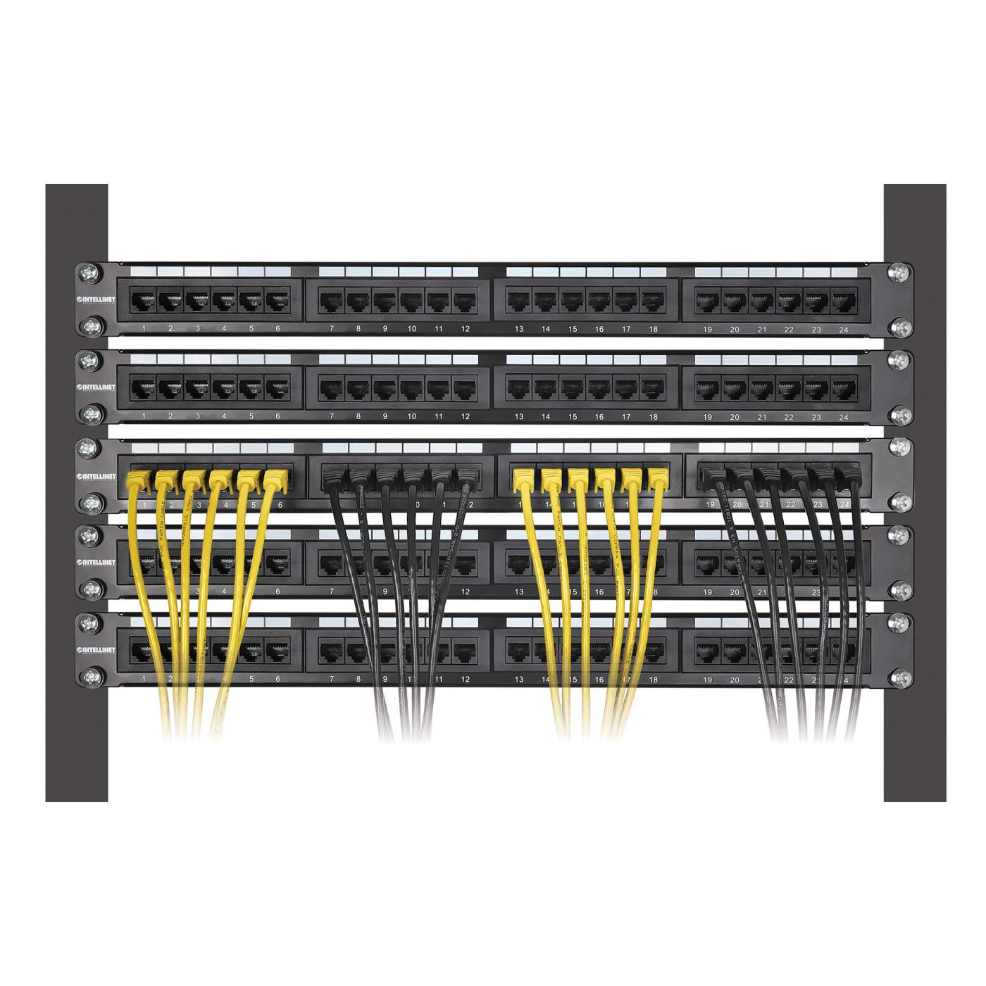 Paquete de 10 cables patch slim Cat6 U/UTP, 1.5 m, amarillo  Image 6