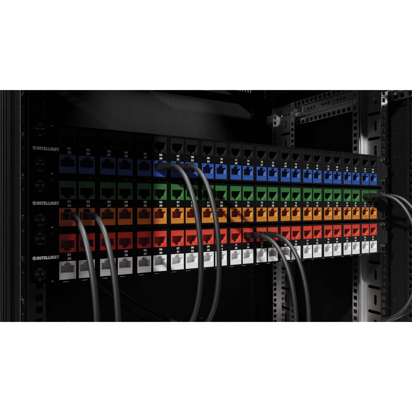 Conector Keystone Cat6a 10G apantallado sin herramientas, azul Image 7