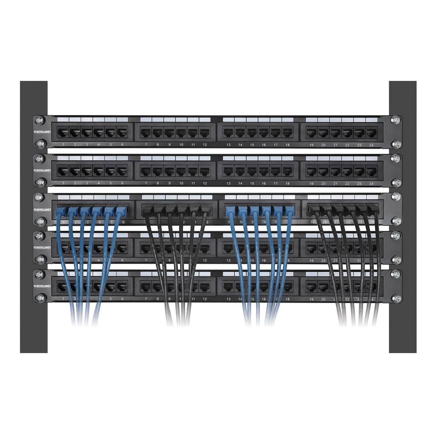 Paquete de 10 cables patch slim Cat8.1 U/FTP, 0.15 m, azul Image 6