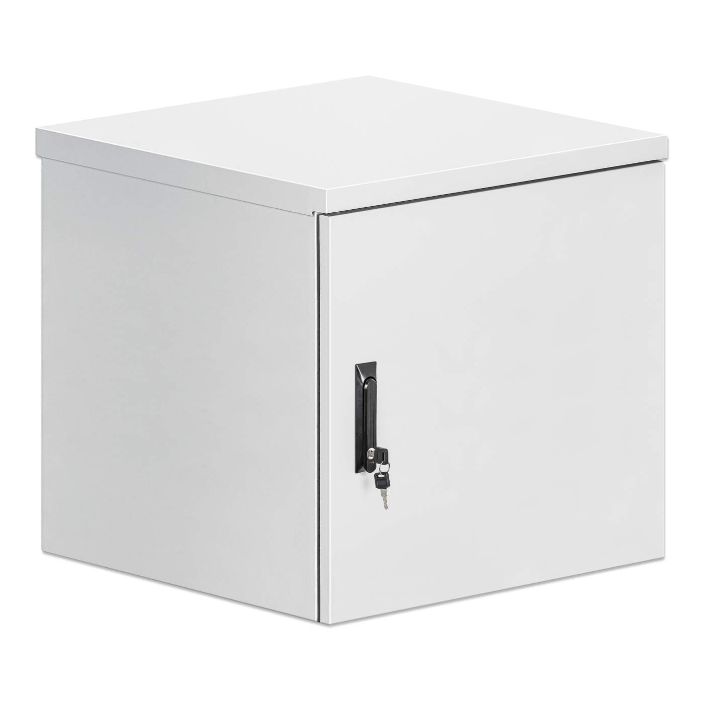 Gabinete mural industrial IP55 de 19" con ventiladores integrados, 12U Image 2