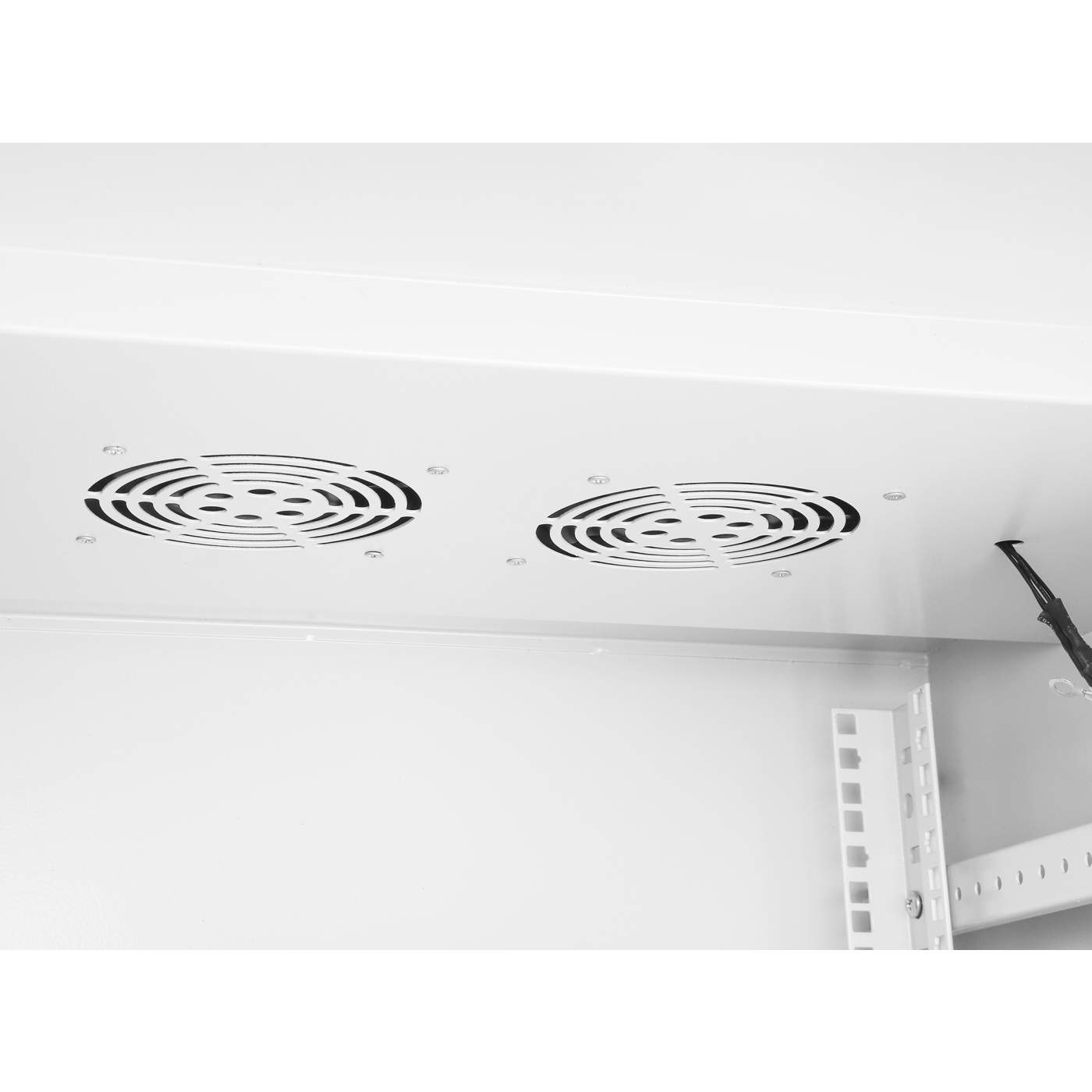 Gabinete mural industrial IP55 de 19" con ventiladores integrados, 18U Image 7